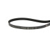 Ремень 1180 J4 black (Optibelt-RB PJ 1180)