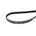Ремень 1230 J4 black (Optibelt-RB PJ 1230) (SKL BLJ435UN)
