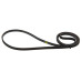Ремінь 1316 J4 black (Hutchinson Poly.V 1316 PJ) для пральної машини Beko, LG