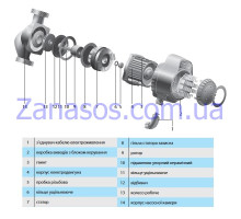 Статор BPS 32-8SM Ecomax (в сборе) "Насосы+" (А12)